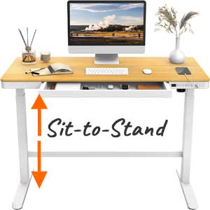 Bamboo Top Sit-to-Stand Adjustable Height Desk for Treadmills